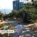 하슬라아트월드 영월지점 이미지
