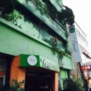 THE SERI HOSTEL | [제주도/대한민국] 졸업여행 #숙소 - 더포레스트호스텔 (공항근처)