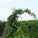 세근농장 이미지