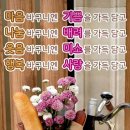 마음의 웃음꽃 바구니 이미지