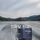 방아실와유 이미지