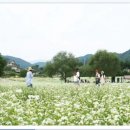 (주)아름관광여행사 이미지