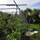 여주-0710 이미지