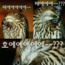 콘박스 이미지