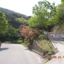 백아산관광목장백아산눈썰매장 Daum카페