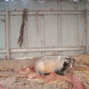 유전농장 이미지