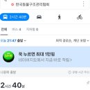 파주켄넬 | 1인가구 유기견 입양 후기 - 1 (한국동물구조관리협회)