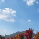 진천 포레스트 캠핑장 이미지