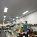 대가야꽃집 이미지