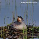 울산광역시립노인요양원 | 성안동요양원 울산광역시립노인요양원 안심하고 맡길 수 있는