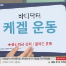 바디닥터 대전탄방점 이미지