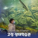 고성생태학습관 | 고성 애들이랑 가볼만한, 고성생태학습관