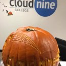 클라우드나인(CLOUD NINE) 이미지