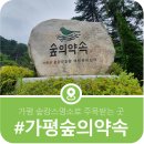 환경성질환 예방관리센터 대강당 | 가평군 환경성질환예방관리센터 숲의약속 프로그램 및 숙박대관 안내