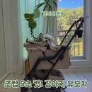 퍼피랩 | 강아지 유모차 조립 5초 컷! 버기랩