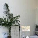 몽글댕글 이미지