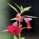 에코가든 이미지