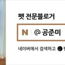 지그미선물