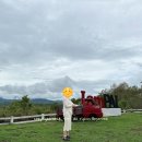 치앙마이 5월 빠이 가볼만한 곳(윤라이 전망대/I am PAI/빠이 협곡)