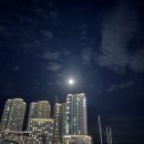 꽃섬&불낙원 | 순삭한 8월 티끌 모음