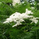 선림2농장 이미지