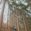 축령산 백련동(추암) | [전남 장성] 편백나무 숲길을 걷다, 장성 축령산 힐링 산행!