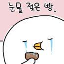 라섹일기2) 내돈내산 강남 투데이라섹 리얼 후기 + 3개월 경과 후기