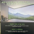 (주)에스이에프