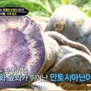 부림1농장 이미지