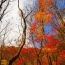 연인산도립공원 용추쉼터 이미지