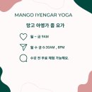 망고트래블