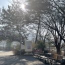 월오동묵집 | 청주 상당구 맛집 월오동묵집, 부모님이 좋아하실 도토리 묵정식