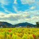 황산공원 캠핑장 3번 이미지