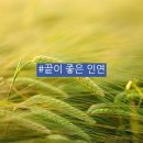 좋은인연 이미지