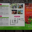 복흥면 체육공원 이미지