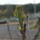 원호농장 이미지