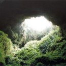 제주 한림 용암동굴지대 이미지