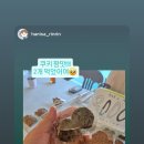 둔산중로-41 이미지