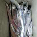 칼치랑고등어랑 이미지