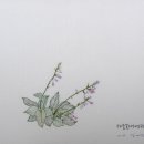 자수자격증반 이미지