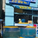 [안양맛집] 탐나종합어시장 안양비산점 가성비 점심식사 하고 왔어요