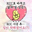 바닷바람 | 태안샷시 교체 후기, 바닷바람까지 막아낸 KCC 창호