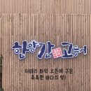성저로 이미지