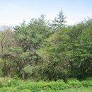 미암공원 이미지