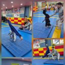 고려합기도 이미지