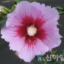 충남자원 이미지