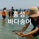 모두의송어 이미지