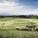 중식농장 이미지