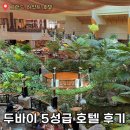 우림호텔 | 두바이 그랜드 하얏트 호텔 후기 (위치, 픽업서비스, 레스토랑, 부대시설)