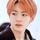 유시 이미지